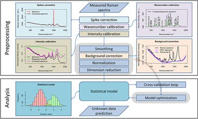 Fusion of MALDI Spectrometric Imaging and Raman Spectroscopic Data for the Analysis of Biological Samples